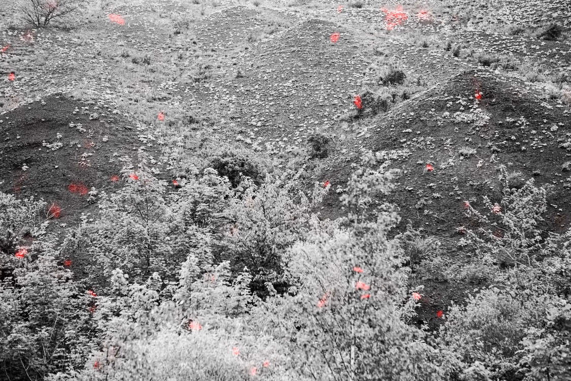 Dispersion